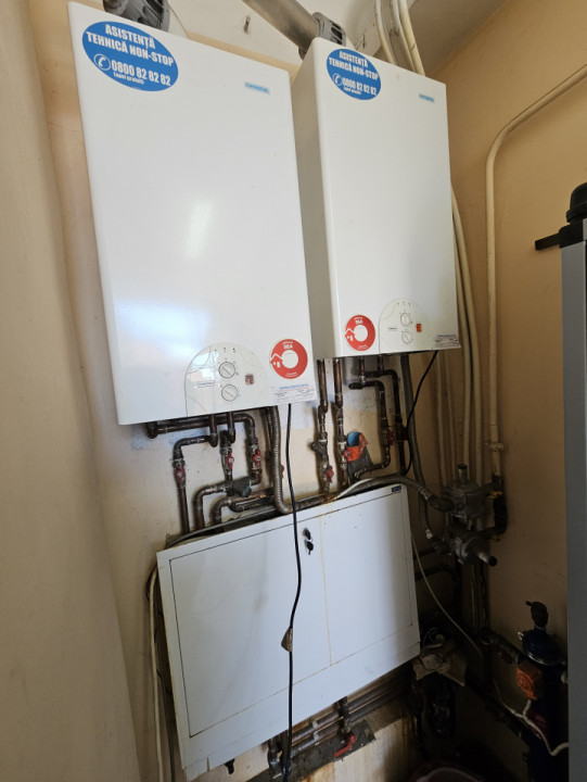 Oportunitate afacere: Spatiu industrial + Casa de locuit - Bogdanestilor 18, foxfort.ro