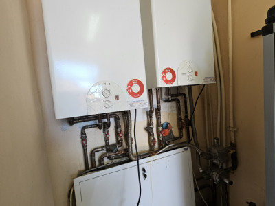 Oportunitate afacere: Spatiu industrial + Casa de locuit - Bogdanestilor imagine mica 18, foxfort.ro