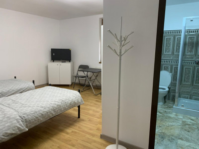 Casa individuala cu 16 camere de inchiriat, zona Sag imagine mica 8, foxfort.ro