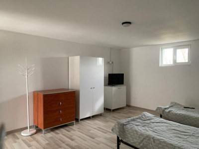 Casa individuala cu 16 camere de inchiriat, zona Sag imagine mica 13, foxfort.ro