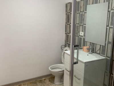 Casa individuala cu 16 camere de inchiriat, zona Sag imagine mica 15, foxfort.ro