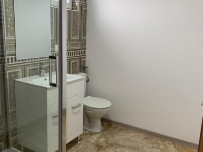 Casa individuala cu 16 camere de inchiriat, zona Sag imagine mica 16, foxfort.ro