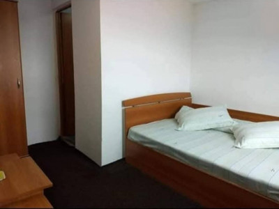 Cabana 10 camere, 4 nivele, Straja, Hunedoara, pretabil investitie imagine mica 4, foxfort.ro