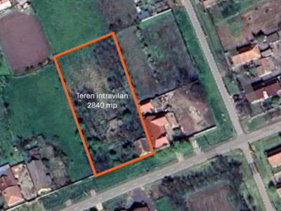 Teren intravilan 2840 mp cu fundatie - Jebel