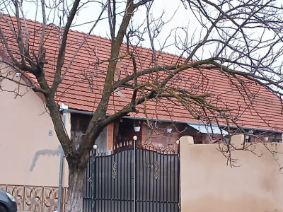 Casa individuala cu 3 camere si teren de 720 mp in Gottlob imagine mica 3, foxfort.ro