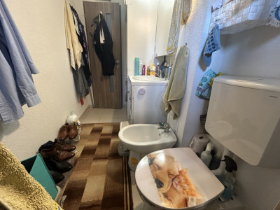 Apartament de vanzare cu 3 camere, la parter - zona Sag imagine mica 7, foxfort.ro