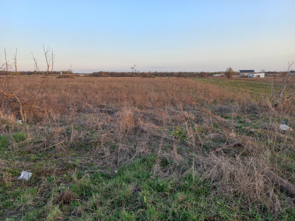 COMISION 0% Teren intravilan de 4.464 mp, Ghiroda 1, foxfort.ro