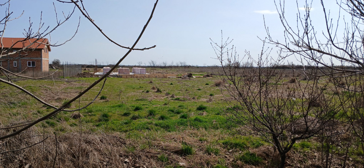 Parcela de teren de 798 mp pentru casa in Peciu Nou 1, foxfort.ro