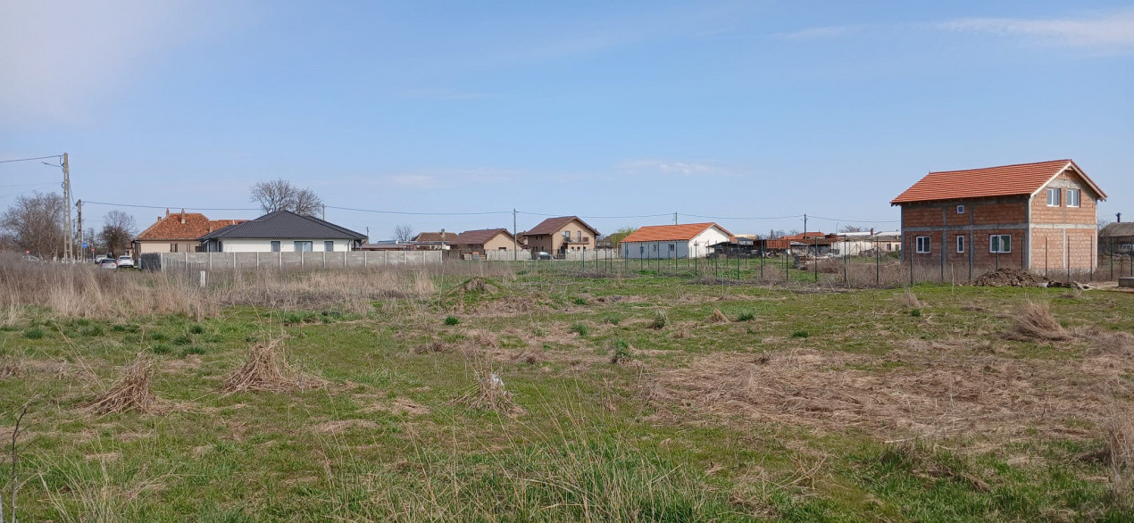 Parcela de teren de 798 mp pentru casa in Peciu Nou 2, foxfort.ro