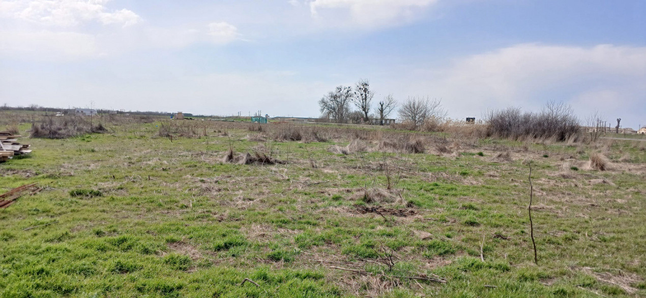 Parcela de teren de 798 mp pentru casa in Peciu Nou 3, foxfort.ro