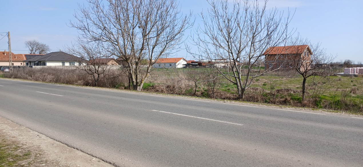 Parcela de teren de 798 mp pentru casa in Peciu Nou 4, foxfort.ro