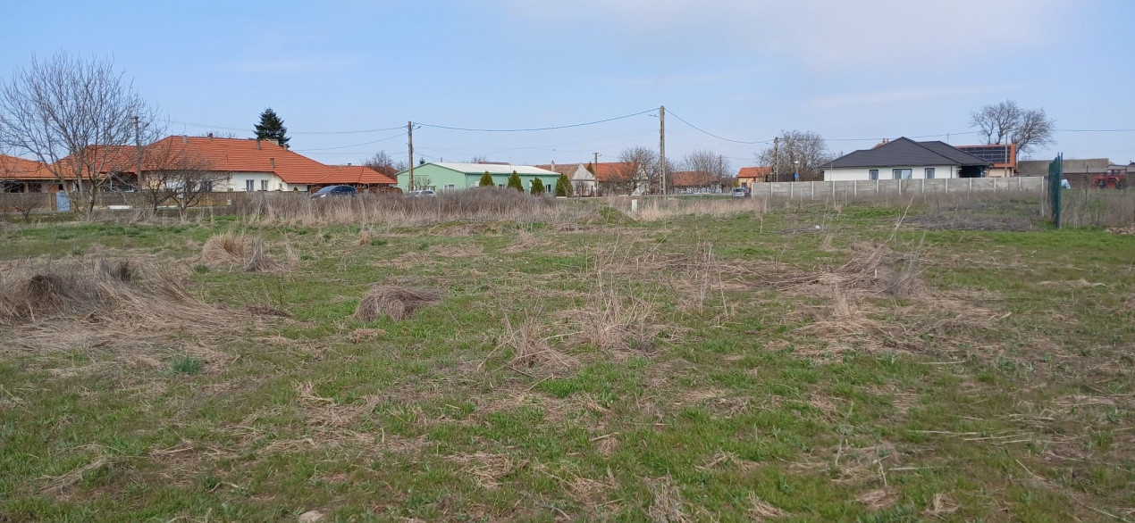 Parcela de teren de 798 mp pentru casa in Peciu Nou 6, foxfort.ro