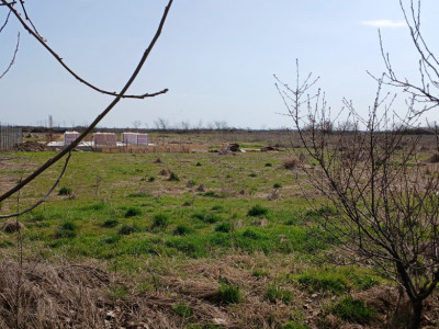 Parcela de teren de 798 mp pentru casa in Peciu Nou