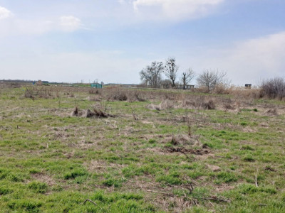 Parcela de teren de 798 mp pentru casa in Peciu Nou imagine mica 3, foxfort.ro