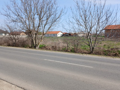 Parcela de teren de 798 mp pentru casa in Peciu Nou imagine mica 4, foxfort.ro