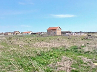 Parcela de teren de 798 mp pentru casa in Peciu Nou imagine mica 5, foxfort.ro