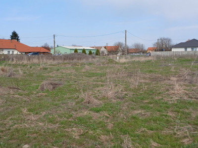 Parcela de teren de 798 mp pentru casa in Peciu Nou imagine mica 6, foxfort.ro