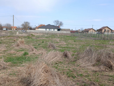 Parcela de teren de 798 mp pentru casa in Peciu Nou imagine mica 7, foxfort.ro