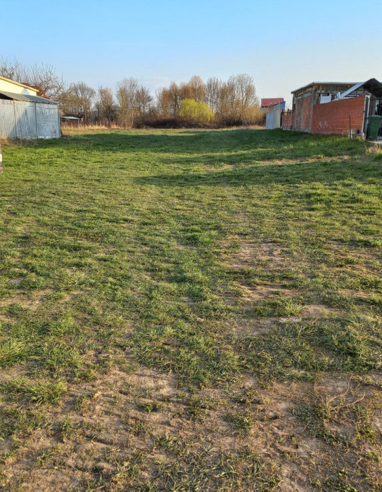 COMISION 0% Teren intravilan de 3.156 mp in Ghiroda  2, foxfort.ro