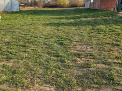 COMISION 0% Teren intravilan de 3.156 mp in Ghiroda  imagine mica 2, foxfort.ro