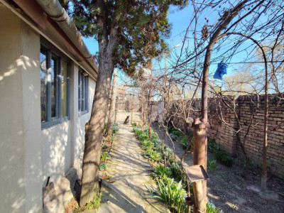 Casa cu 3 camere de vanzare in Jimbolia, teren pe colt imagine mica 13, foxfort.ro