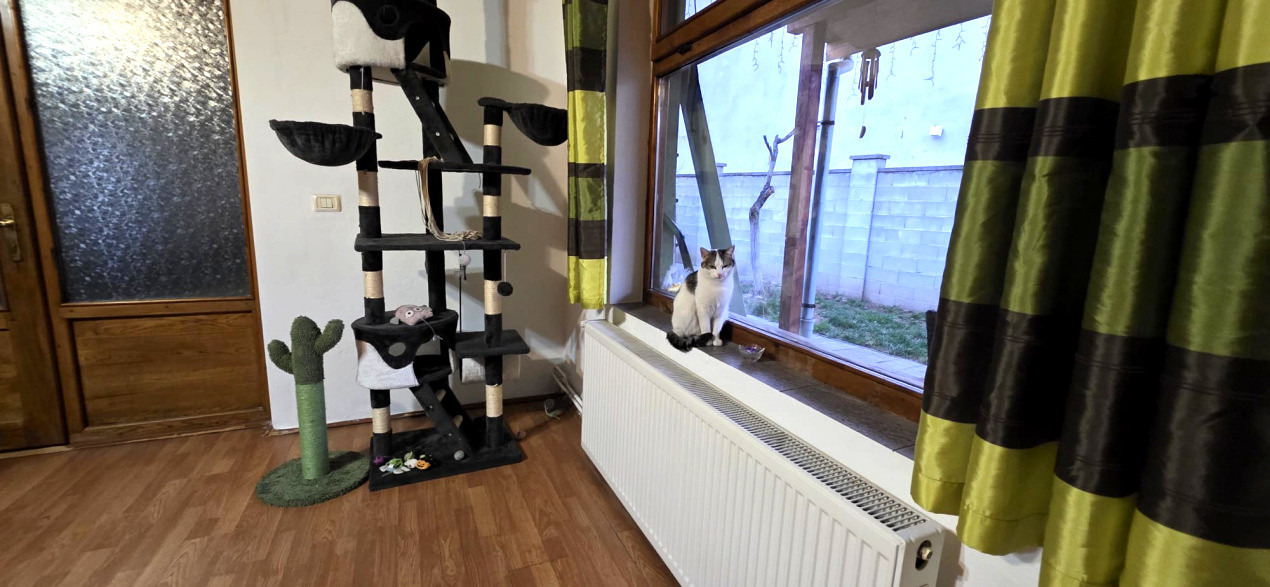 Casa de vanzare cu 3 camere, zona Aurel Vlaicu, Arad 12, foxfort.ro