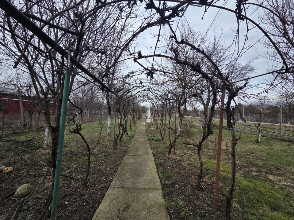 Casa individuala de vanzare | Calea Timisorii | Teren 1649 mp 9, foxfort.ro
