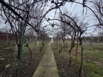 Casa individuala de vanzare | Calea Timisorii | Teren 1649 mp imagine mica 9, foxfort.ro