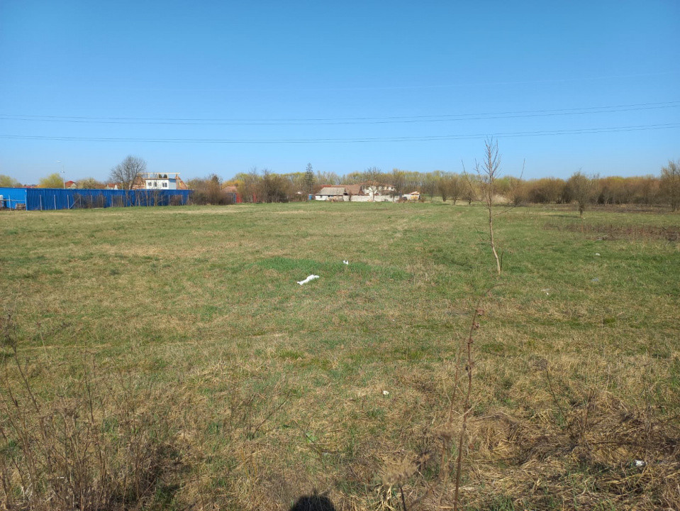 Teren intravilan – oportunitate investiție – zona Centura Timișoarei 1, foxfort.ro