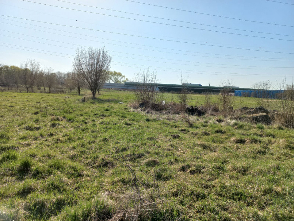 Teren intravilan – oportunitate investiție – zona Centura Timișoarei 2, foxfort.ro