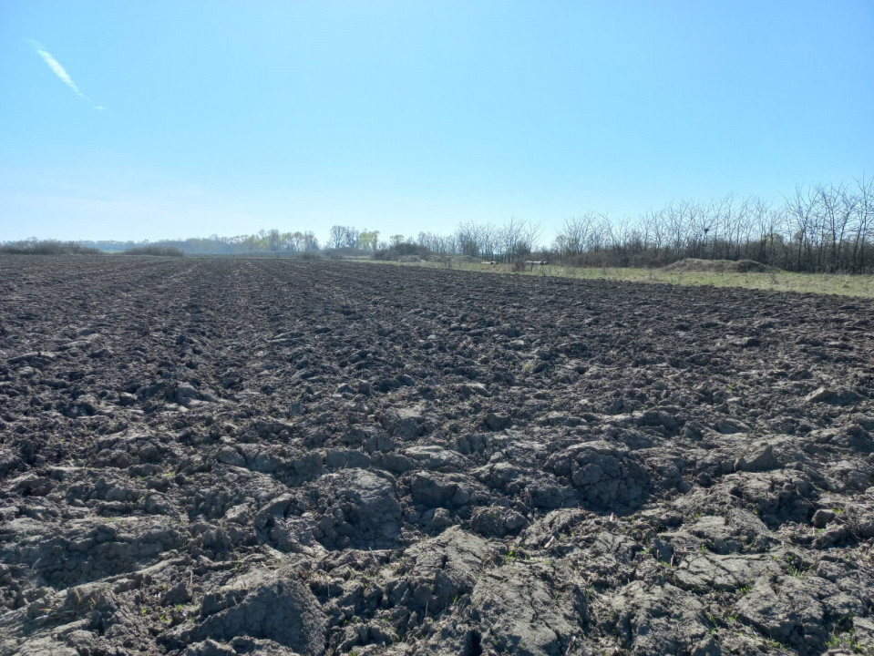 Teren intravilan – oportunitate investitie – Remetea Mare, langa Bega 1, foxfort.ro