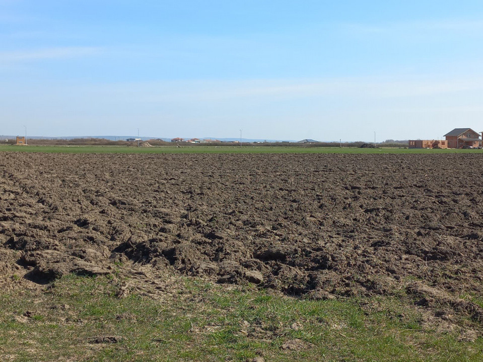 Teren intravilan – oportunitate investitie – Remetea Mare, langa Bega 2, foxfort.ro