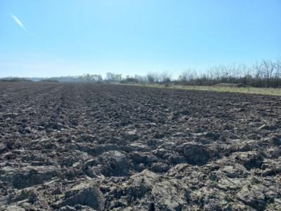 Teren intravilan – oportunitate investitie – Remetea Mare, langa Bega