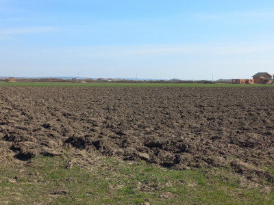 Teren intravilan – oportunitate investitie – Remetea Mare, langa Bega imagine mica 2, foxfort.ro