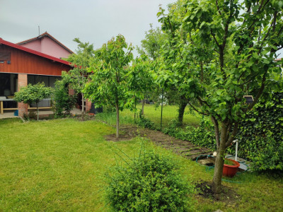 Duplex cu 5 camere de vanzare in localitatea Mosnita Noua imagine mica 28, foxfort.ro