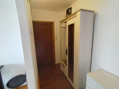 Apartament cu 2 camere de inchiriat in Timisoara, zona Girocului imagine mica 14, foxfort.ro