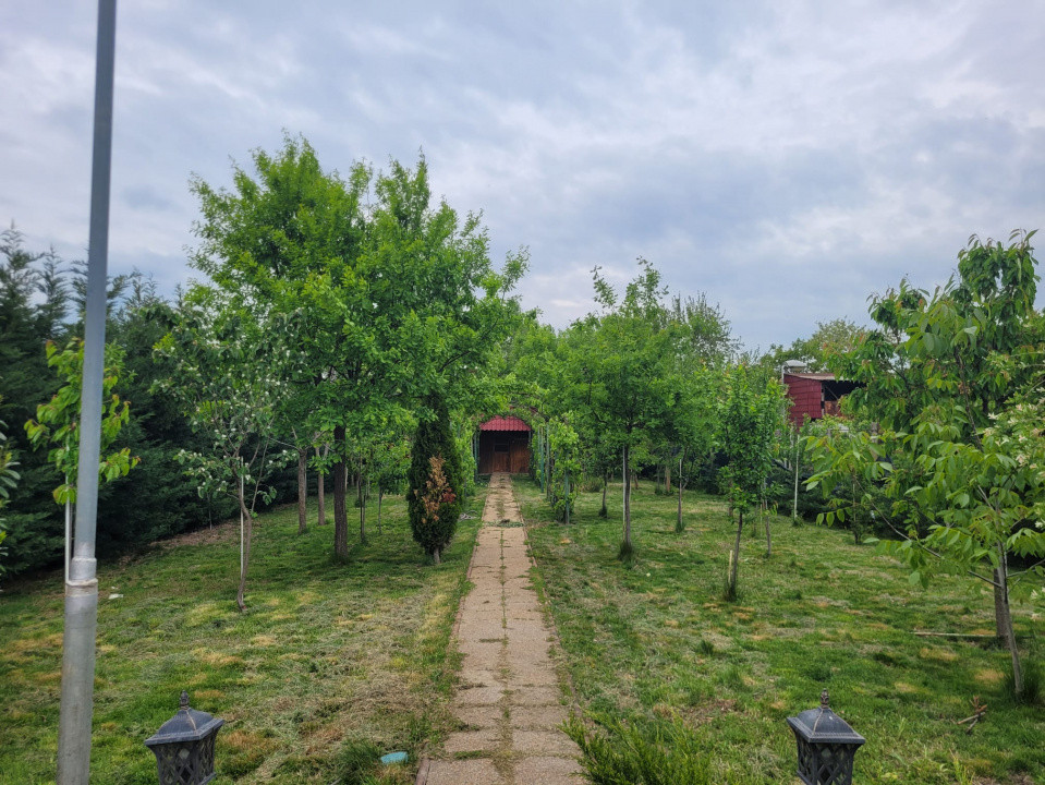 Casa deosebita in Sacalaz - vatra satului la 15 minute de Timisoara 19, foxfort.ro