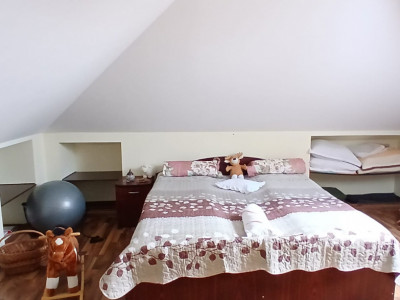 Casa deosebita in Sacalaz - vatra satului la 15 minute de Timisoara imagine mica 33, foxfort.ro