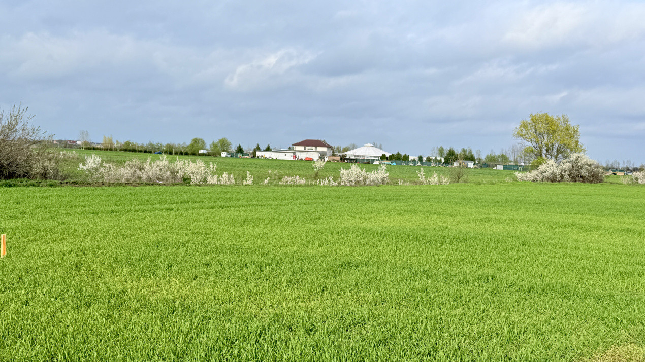 Parcela de teren intravilan de vanzare, 502 mp - Sacalaz 1, foxfort.ro