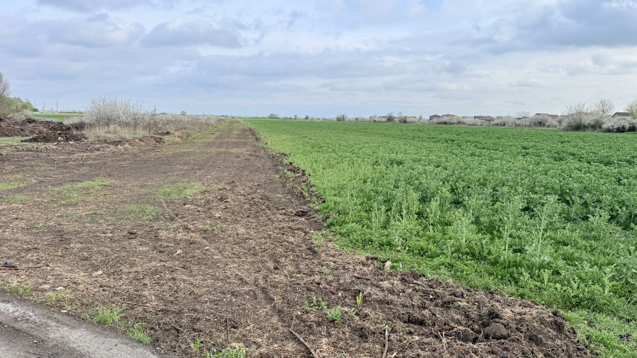 Parcela de teren intravilan de vanzare, 502 mp - Sacalaz 2, foxfort.ro