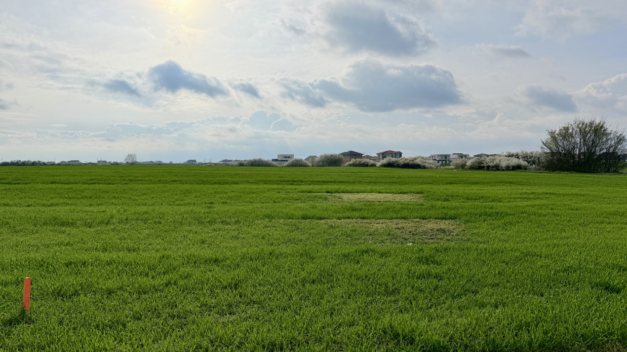 Parcela de teren intravilan de vanzare, 502 mp - Sacalaz 3, foxfort.ro