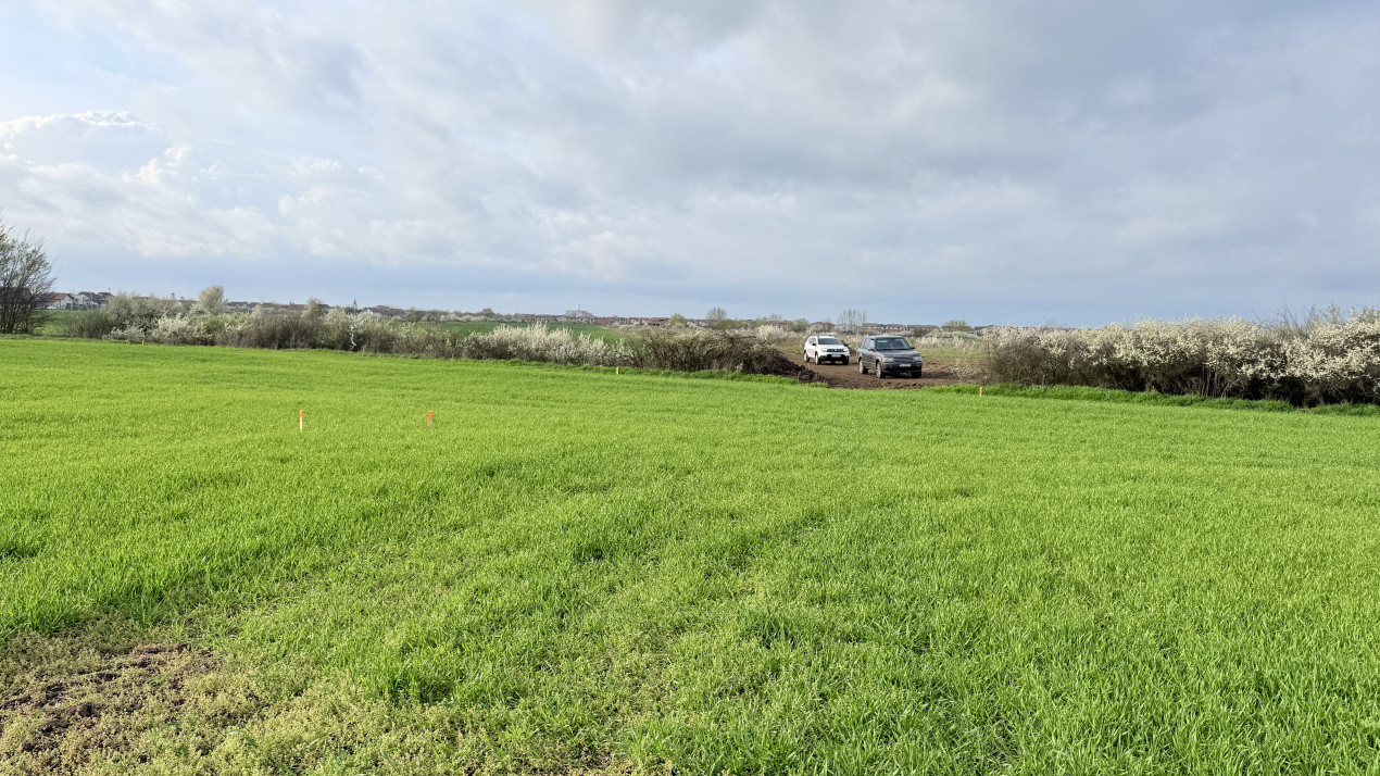 Parcela de teren intravilan de vanzare, 502 mp - Sacalaz 4, foxfort.ro