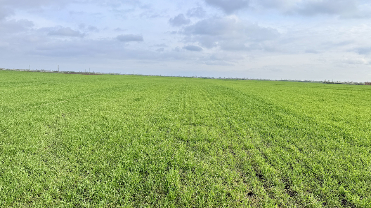 Parcela de teren intravilan de vanzare, 502 mp - Sacalaz 5, foxfort.ro