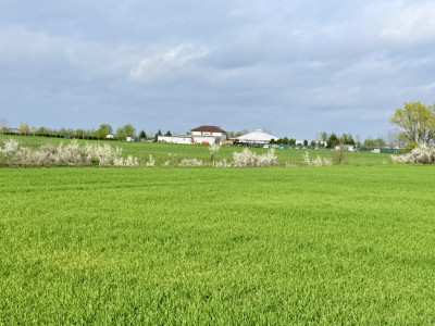 Parcela de teren intravilan de vanzare, 502 mp - Sacalaz