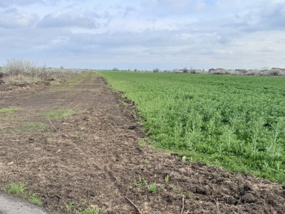 Parcela de teren intravilan de vanzare, 502 mp - Sacalaz imagine mica 2, foxfort.ro