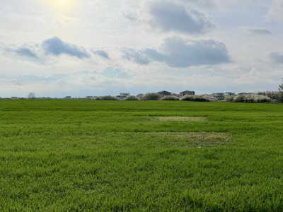 Parcela de teren intravilan de vanzare, 502 mp - Sacalaz imagine mica 3, foxfort.ro