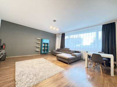 Apartament cu 2 camere la parter de vanzare in zona Torontalului imagine mica 10, foxfort.ro