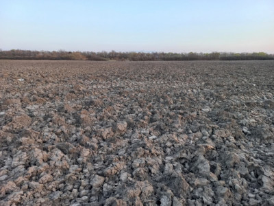 Oportunitate dezvoltare rezidentiala| 4.816 mp | Ghiroda