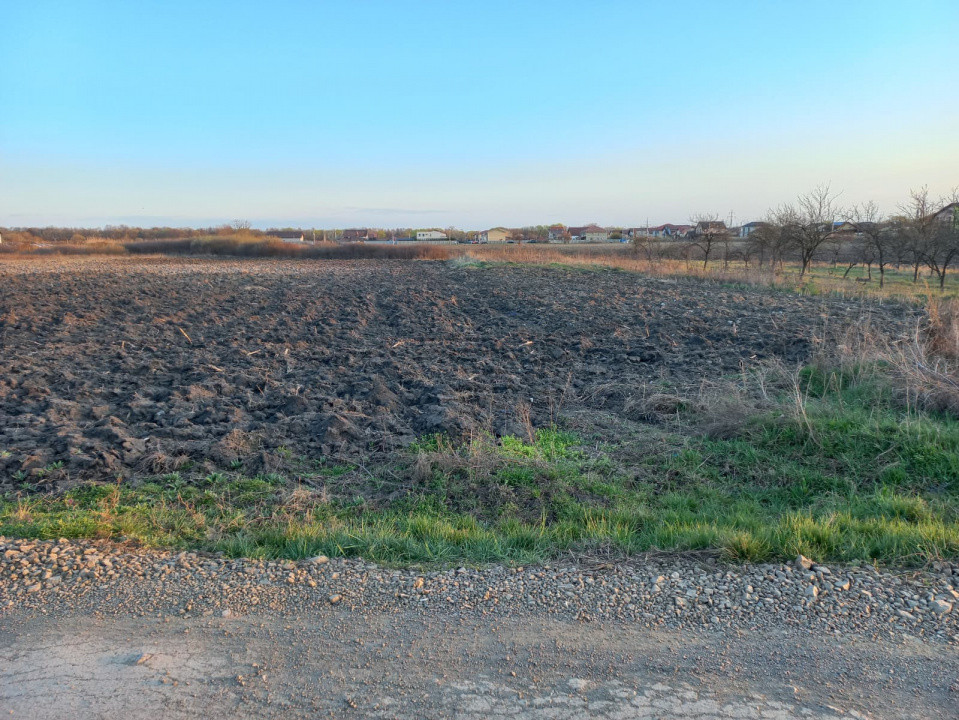 Teren extravilan industrial | 7.826 mp | 2 fronturi stradale | Ghiroda 1, foxfort.ro