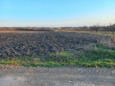 Teren extravilan industrial | 7.826 mp | 2 fronturi stradale | Ghiroda